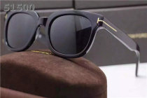 Tom Ford Sunglasses AAA (117)