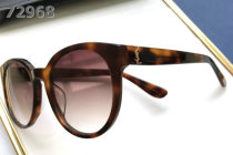 YSL Sunglasses AAA (258)