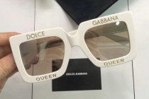D&G Sunglasses AAA (446)
