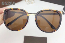 Tom Ford Sunglasses AAA (505)