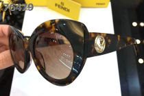 Fendi Sunglasses AAA (569)