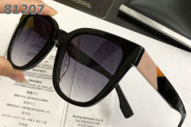 Fendi Sunglasses AAA (699)