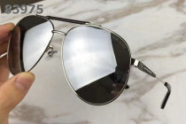 Tom Ford Sunglasses AAA (1350)