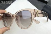 YSL Sunglasses AAA (371)