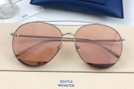 Gentle Monster Sunglasses AAA (546)