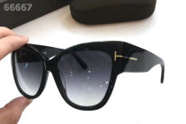 Tom Ford Sunglasses AAA (510)
