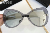 YSL Sunglasses AAA (449)