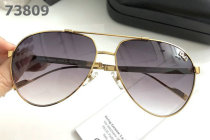 D&G Sunglasses AAA (389)