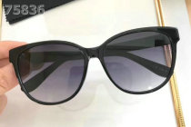 YSL Sunglasses AAA (386)