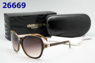 Roberto Cavalli Sunglasses AAA (8)