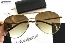 YSL Sunglasses AAA (105)