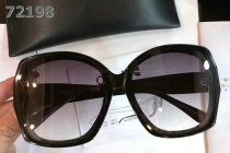 YSL Sunglasses AAA (219)