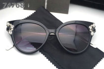 D&G Sunglasses AAA (413)