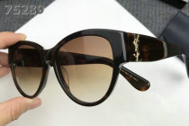 YSL Sunglasses AAA (374)