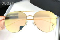 YSL Sunglasses AAA (504)