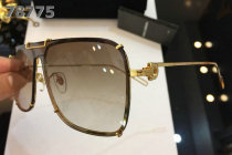 D&G Sunglasses AAA (504)