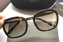 Tom Ford Sunglasses AAA (435)