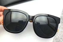 YSL Sunglasses AAA (206)