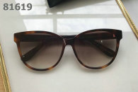 YSL Sunglasses AAA (524)