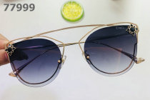 D&G Sunglasses AAA (464)