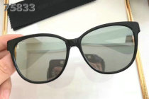 YSL Sunglasses AAA (383)