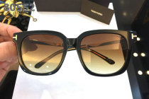 Tom Ford Sunglasses AAA (1073)