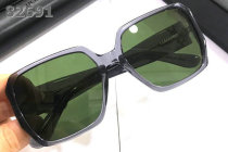 YSL Sunglasses AAA (533)