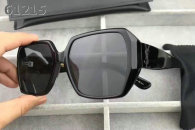 YSL Sunglasses AAA (22)