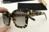 YSL Sunglasses AAA (350)