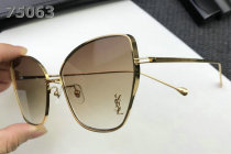 YSL Sunglasses AAA (362)