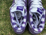 Authentic Concepts x Nike SB Dunk Low “Purple Lobster”