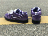 Authentic Concepts x Nike SB Dunk Low “Purple Lobster” (women)