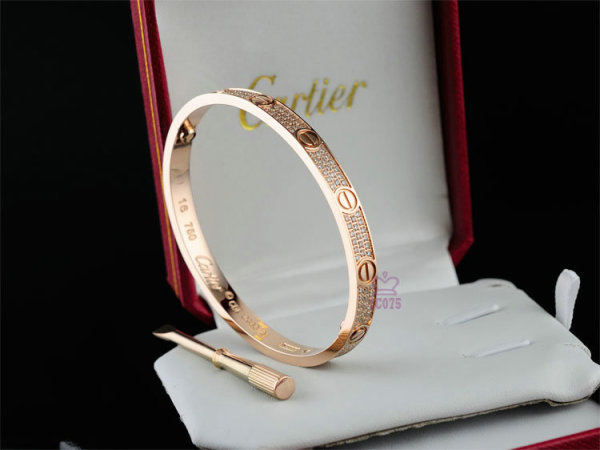 Cartier-Bracelet (431)
