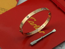 Cartier-Bracelet (464)