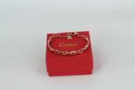 Cartier-Bracelet (498)