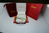 Cartier-Bracelet (527)