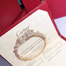 Cartier-Bracelet (271)