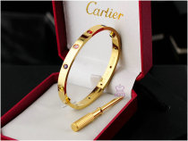 Cartier-Bracelet (402)