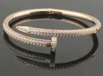 Cartier-Bracelet (488)