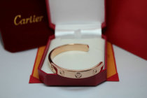 Cartier-Bracelet (213)
