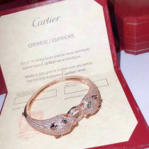 Cartier-Bracelet (269)