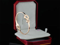 Cartier-Bracelet (438)