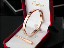 Cartier-Bracelet (407)