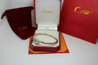 Cartier-Bracelet (534)