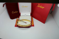 Cartier-Bracelet (526)