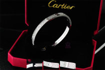 Cartier-Bracelet (452)