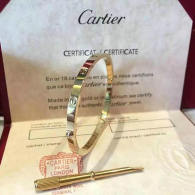 Cartier-Bracelet (575)