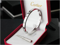 Cartier-Bracelet (408)