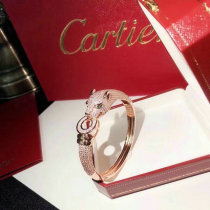Cartier-Bracelet (266)