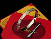 Cartier-Bracelet (466)